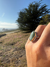 Load image into Gallery viewer, Big Sur Gold Blondie Size 6.75