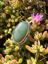 Load image into Gallery viewer, Big Sur Gold Blondie Size 6.75
