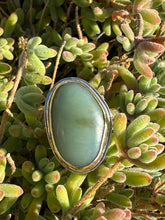 Load image into Gallery viewer, Big Sur Gold Blondie Size 6.75

